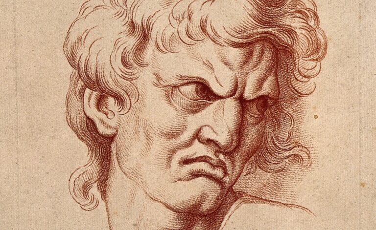 A_face_expressing_hatred_or_jealousy